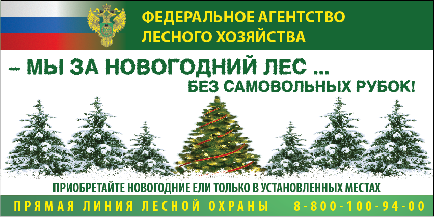 09:43 Лесные насаждения защитят от незаконных рубок в предновогодний период с помощью специальных профилактических мероприятий